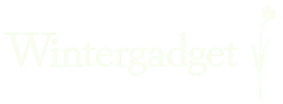 Wintergadget Store