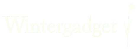 Wintergadget Store